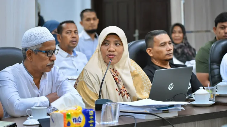 DPMPTSP Sabang Jelaskan Keterbatasan Daerah Kendalikan Izin Retail