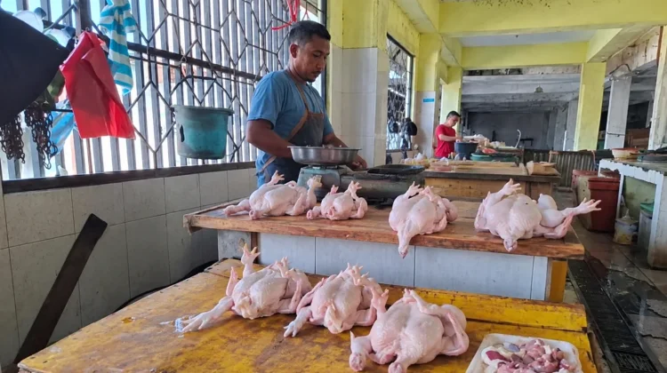 Harga Ayam Potong di Sabang Capai Rp70 Ribu