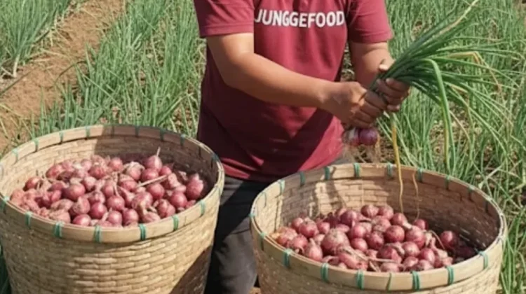 Bumbu Jungge Food Aceh Tembus Pasar Luar Daerah