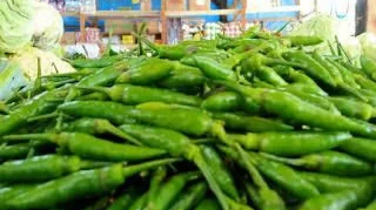 Harga Cabai di Sabang Tembus Rp70 Ribu per Kilogram