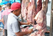 Ternak Meugang di Sabang Dipastikan Bebas Cacing Hati