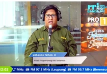 Transisi Energi Terbarukan Dinilai Penting Hadapi Perubahan Iklim