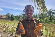 Keuchik Jaboi Dukung Penuh Program Ketahanan Pangan Desa