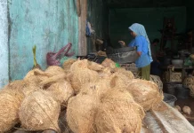 Harga Kelapa Kukur di Pasar Induk Sabang Naik di Ramadan 1447 H