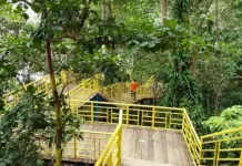 Taman Hutan Sabang Tawarkan Panorama Laut di Kawasan Nol Kilometer