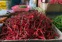 Harga dan Stok Bumbu Dapur di Pasar Induk Sabang Stabil