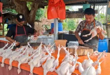 Pedagang Ayam di Sabang Akui Penjualan Lesu di Bulan Ramadan