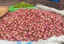 Cek Harga Kebutuhan Pokok di Sabang