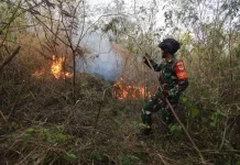BMKG Peringatkan Potensi Karhutla, 140 Titik Panas Muncul di Aceh