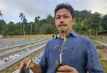Ketahanan Pangan Lanjutan Jadi Fokus Pembangunan Desa di Sabang