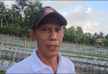 Tahun ini, BUMG Cot Ba’u Kembangkan 8.000 Batang Cabai Merah