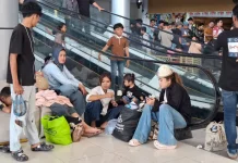 Wisatawan Membludak, Ekonomi Sabang Ikut Bergerak