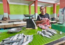 Pasca Lebaran, Harga Ikan dan Udang di Sabang Stabil