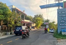 Kunjungan Wisata Nemo di Sabang Sepi