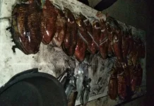 Musim Sotong Tiba, Nelayan Penembak di Sabang Kebanjiran Orderan