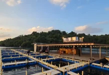 Koperasi BSI Optimis Kembangkan Desa Wisata Krueng Raya