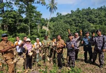 Pemko Sabang Dorong Pengembangan Jagung Pipil Usai Panen Perdana