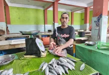 Harga Ikan di Pasar Induk Sabang Stabil