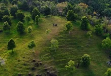 Kebun Cengkeh di Sabang Disulap jadi Objek Wisata