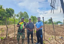 Lanud Maimun Saleh Genjot Ketahanan Pangan dari Lahan hingga Ternak