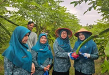 PKK Sabang Dampingi Petani Buah Naga Tingkatkan Produksi