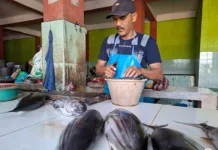 Harga Ikan dan Udang di Pasar Sabang Masih Stabil, Tongkol Rp45 Ribu per Kilogram