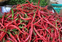 Harga Cabai Merah di Sabang Naik Jadi Rp42 Ribu per Kilogram