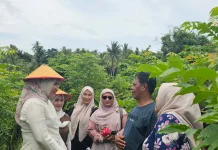Budidaya Buah Naga di Sabang Punya Potensi Ekonomi Menjanjikan