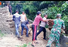 Pohon Tumbang Tutup Akses Jalan di Sabang
