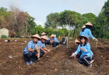 Dukung Ketahanan Pangan, Lanud MUS Tanam Jagung Pipil dan Singkong