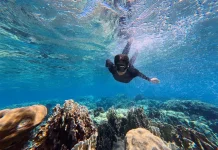 Mahasiswa FPS Kembangkan Wisata Paddle Board dan Snorkeling Jaboi