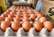 Harga Telur Ayam di Sabang Tembus Rp58 Ribu per Papan