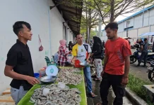 Harga Udang di Sabang Capai Rp120 Ribu per Kilogram