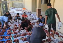 Kemenag Sabang Sembelih 10 Sapi Kurban