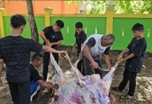 SMP Negeri 5 Sabang Libatkan Siswa dalam Program Kurban