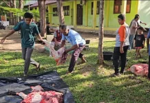 Wali Murid Nilai Program Kurban SMPN 5 Sabang Sangat Membantu
