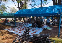 Jurong M. Nur Hasan Sembelih Dua Sapi dan Empat Kambing untuk Warga Kurang Mampu