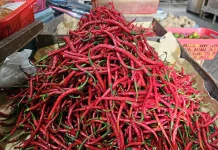 Harga Bumbu Dapur di Sabang Turun, Sayuran Relatif Stabil