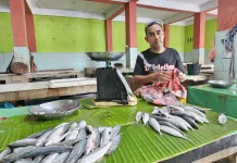 Harga Ikan di Sabang Stabil meski Cuaca Tidak Menentu