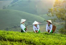 Petani Milenial Aceh Dorong Kolaborasi: "Bertani Tak Bisa Sendiri"