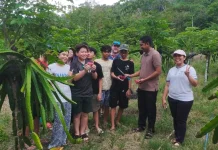 Wisata Petik Buah Naga di Jaboi Kian Diminati Wisatawan