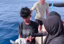 Penyu Terlilit Sampah Plastik Diselamatkan Pemandu Wisata di Perairan Sabang