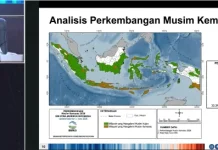 BMKG Ingatkan Daerah Siaga Hadapi El Nino Kuat 2026