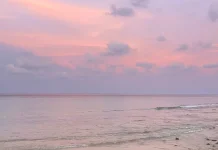 Kolaborasi Lintas Sektor Dinilai Kunci Menjaga Kelestarian Laut Aceh