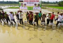 Aceh Percepat Rehabilitasi Sawah Pascabencana, Dibantu Dukungan Kementan