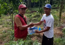 Distanpang Upayakan Bantuan untuk Tingkatkan Produktivitas Kakao