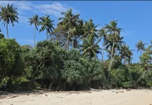 Pantai Keuramat Layak Menjadi Spot Wisata Unggulan