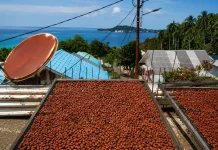 Harga Kakao Fermentasi di Sabang Tembus Rp120 Ribu per Kilogram