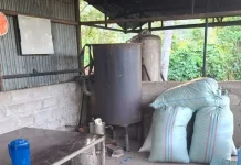 Petani Nilam Bateshok Harapkan Bantuan Ketel Penyulingan