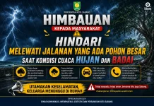 Pemko Sabang Imbau Masyarakat Waspada Pohon Tumbang